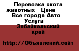 Перевозка скота животных › Цена ­ 39 - Все города Авто » Услуги   . Забайкальский край